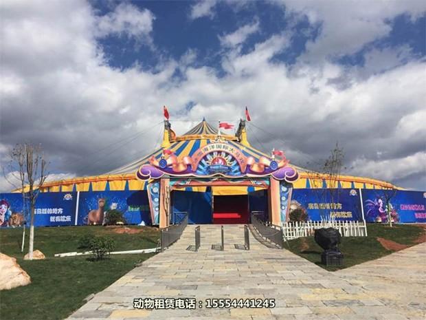 廣東省佛山誠信互利當地哪出租馬戲團表演