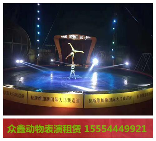 閬中市附近哪有馬戲團表演出租1萌寵展覽租賃