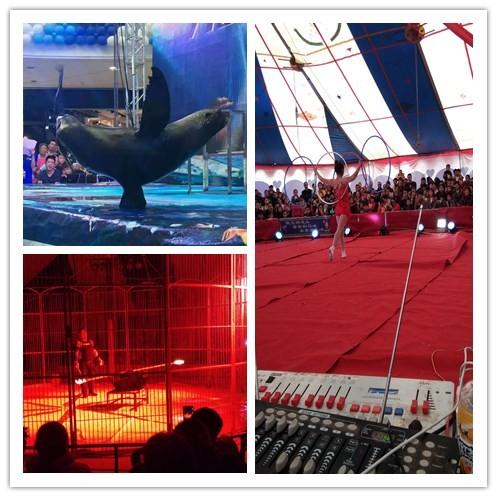 鹿泉馬戲團(tuán)雜技表演租賃有多少節(jié)目