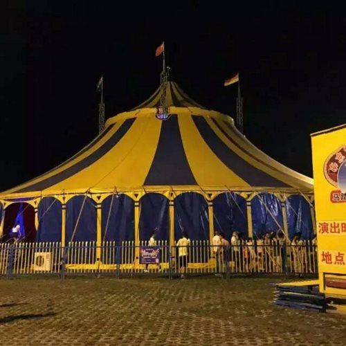 寶山區(qū)金剛鸚鵡表演雜技蝴蝶展蝴蝶標(biāo)本展覽租賃