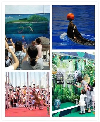 無錫什么地方有動(dòng)物表演租賃