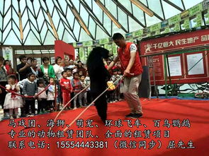 馬戲團出租 宜賓出租海獅 馬戲團表演