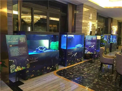 鐵力市當地精彩馬戲團表演出租