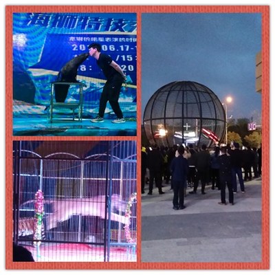 勝凱|動(dòng)物出租|馬戲團(tuán)表演出租|魚缸展|環(huán)球飛車|馴鹿出