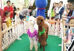 舉行一場(chǎng)萌寵動(dòng)物展覽活動(dòng)費(fèi)用明細(xì)