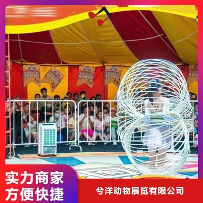 馬戲團表演出租活動慶典