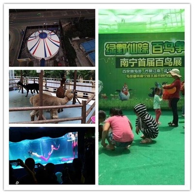 浙江省皇家馬戲團(tuán)表演出租租賃海洋展