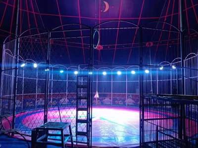 歡迎來(lái)電了解 烏魯木齊馬戲團(tuán)租賃表演公司