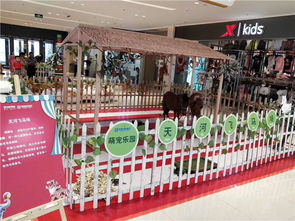 萌寵動物租賃養殖衢州