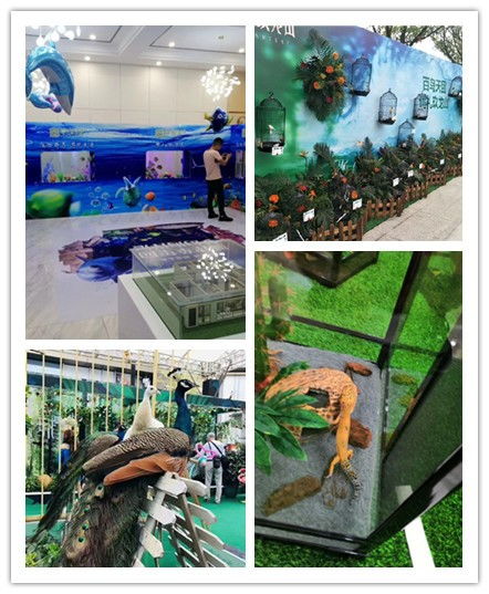 陜西咸陽(yáng)市哪里有動(dòng)物出租