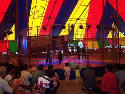 馬戲團(tuán)表演出租雜技表演租賃