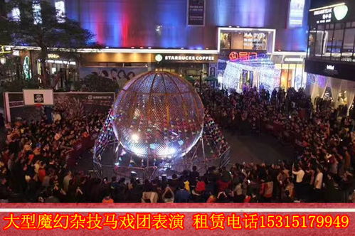 出租海獅表演馬戲團演出動物表演浙江省嵊州