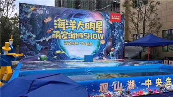 郟縣雜技馬戲團表演動物主題暖場活動