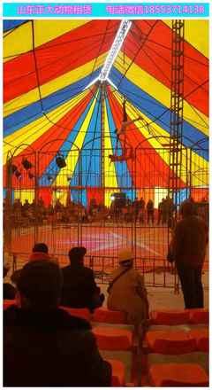 皇家馬戲團表演出租價格多少 海獅企鵝羊駝出租 萌寵出