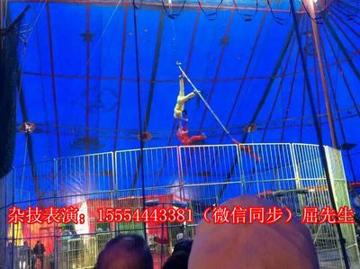 貴州黔東南苗族侗族自治州錦屏縣哪里有出租海獅的嗎?_山東誠信動(dòng)物租賃 - 商國互聯(lián)網(wǎng)