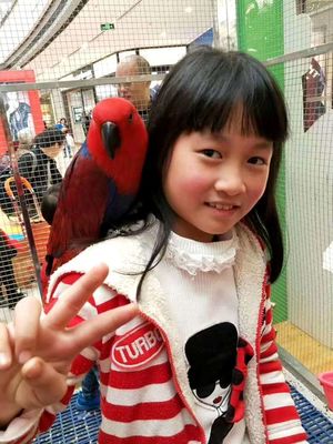 出租馬戲團表演哪里有新聞HT租賃圈資訊通遼