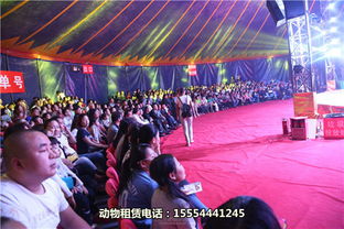 出租馬戲團演出惠州