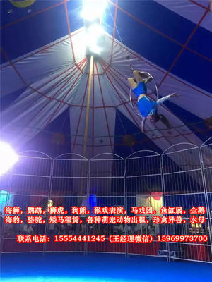 馬戲團猴子表演出租-平?jīng)? />
</span>
<span id=