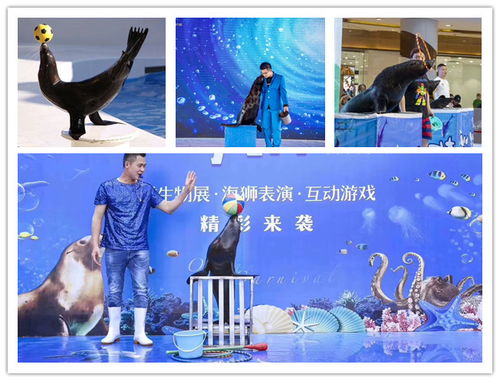 巴彥淖爾市哪里有馬戲團(tuán)表演出租