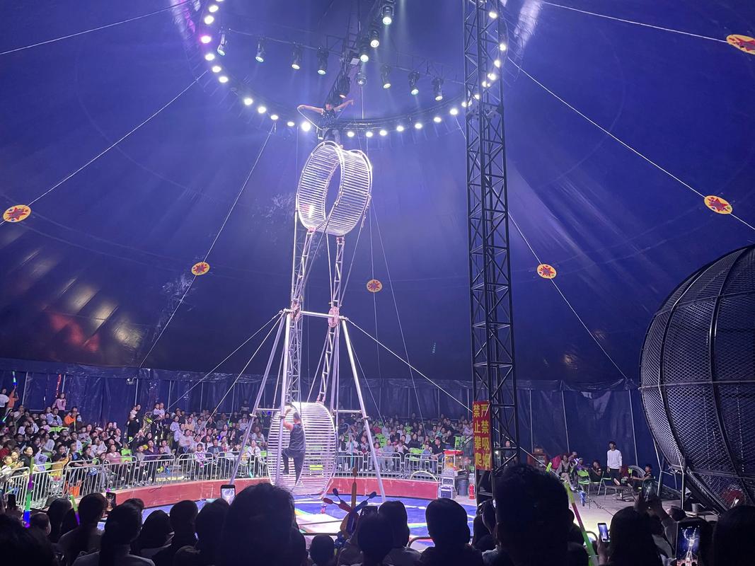 宣城高空雜技#動(dòng)物表演哪里有和馬戲團(tuán)合作分成比例水上飛人表演