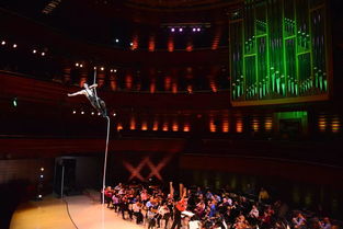 費(fèi)城迎來(lái)視聽(tīng)盛宴：馬戲團(tuán)演出租賃服務(wù)引爆全城熱潮