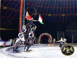 馬戲團與冰雕展出租賃價格全解析